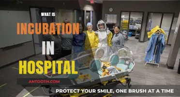 Understanding Incubation: A Guide to Hospital Isolation Procedures