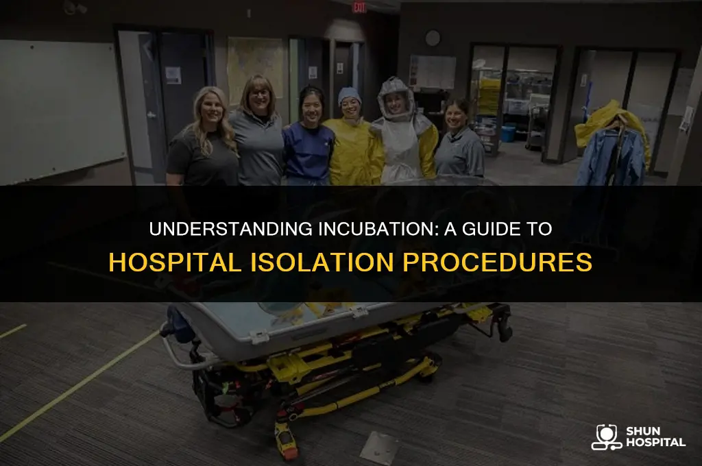 what is incubation in hospital