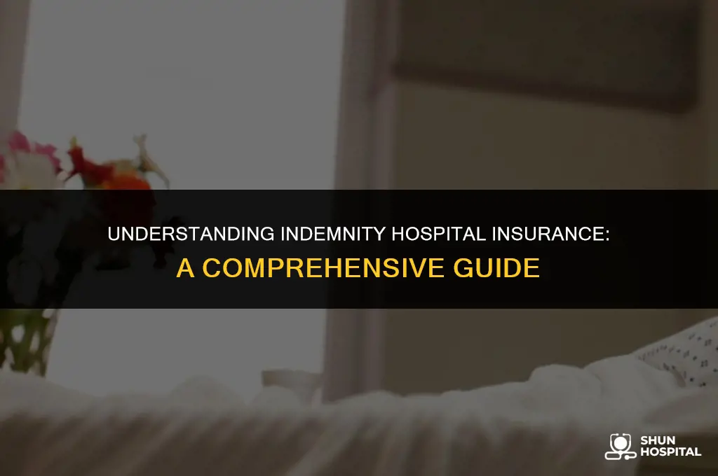 what is indemnity hospital insurance
