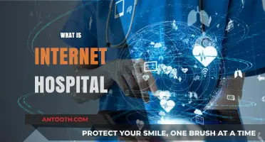 Exploring the Concept of Internet Hospitals: A Comprehensive Guide