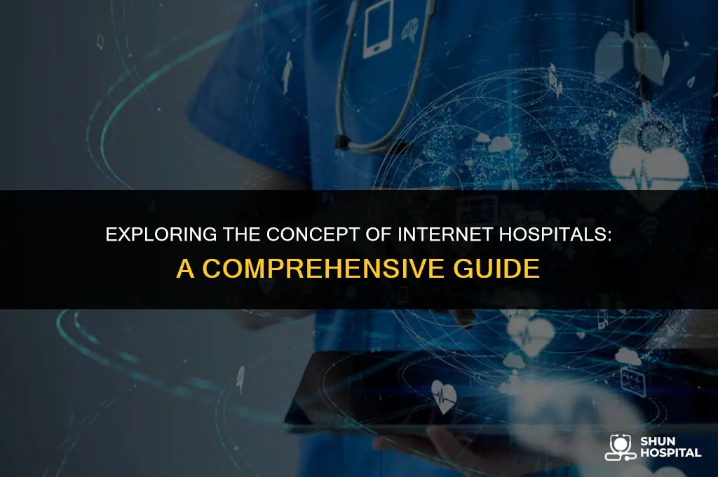 what is internet hospital