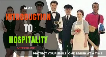 Exploring the Warm World of Hospitality: A Comprehensive Introduction