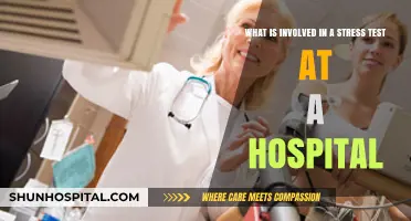 Understanding Hospital Stress Tests: Procedures, Preparation, and What to Expect