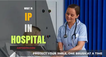 Understanding IP in Hospitals: A Comprehensive Guide