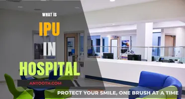 Understanding IPU: A Comprehensive Guide to Inpatient Units in Hospitals