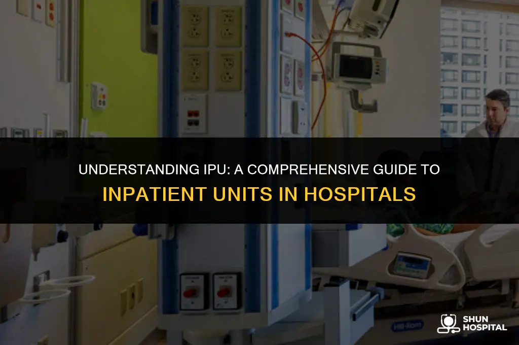 what is ipu in hospital