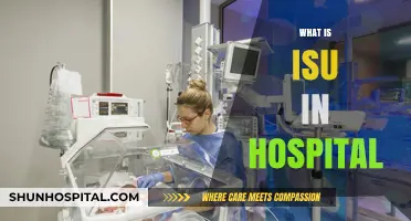 Understanding ISU in Hospitals: A Comprehensive Guide