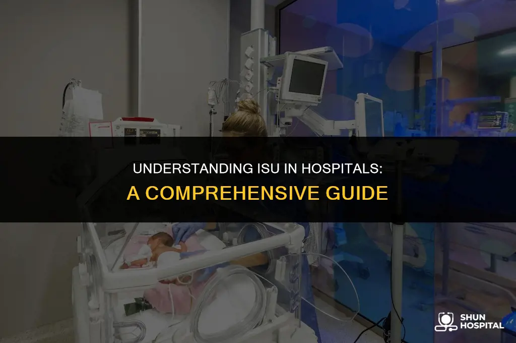what is isu in hospital
