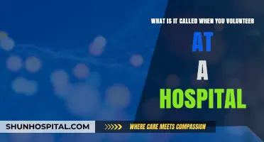 Hospital Volunteering: Understanding the Role and Its Impact on Healthcare