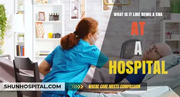 A Day in the Life: CNA Experiences at the Hospital