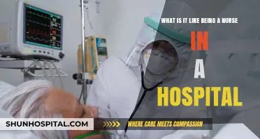 Life on the Frontlines: A Nurse's Hospital Experience Revealed