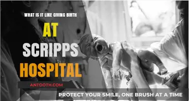 Giving Birth at Scripps Hospital: My Personal Experience and Insights