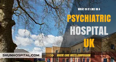 Inside a UK Psychiatric Hospital: A Personal Experience and Overview