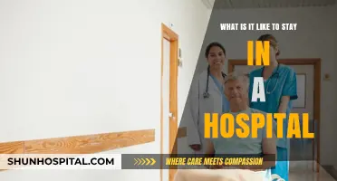 Hospital Stays Unveiled: Real Experiences and Insights from Patients