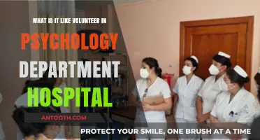 Volunteering in a Hospital Psychology Department: Insights and Experiences