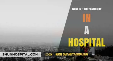 Waking Up in a Hospital: A Personal Journey of Recovery and Reflection