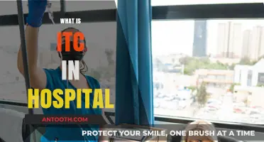 Understanding ITC in Hospitals: A Comprehensive Guide