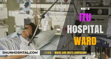 Understanding ITU Hospital Wards: A Comprehensive Guide