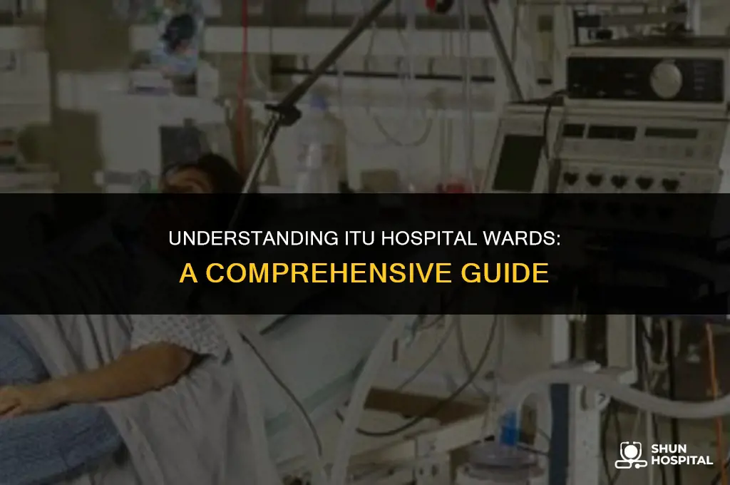 what is itu hospital ward