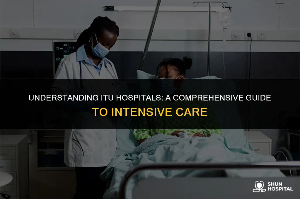 what is itu hospital