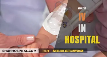 Understanding IV Therapy: Hospital Intravenous Treatment Explained Simply