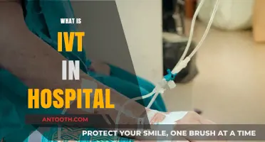 Understanding IV Therapy: A Lifeline in Hospital Care