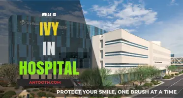 Understanding Ivy: A Guide to Its Role in Hospital Settings