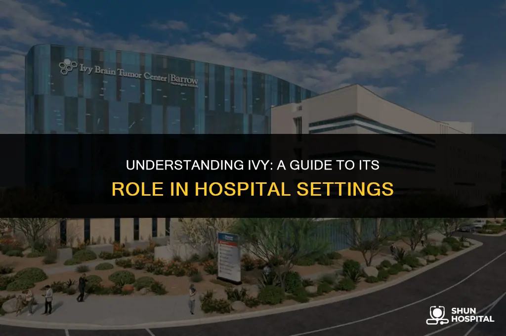 what is ivy in hospital