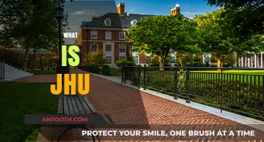 Exploring Johns Hopkins University: History, Academics, and Global Impact