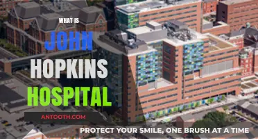 Exploring Excellence: A Deep Dive into Johns Hopkins Hospital