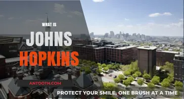 Unveiling Johns Hopkins: History, Impact, and Global Reputation Explained