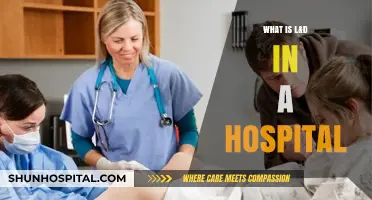 Understanding Hospital L&D: A Vital Department Explained