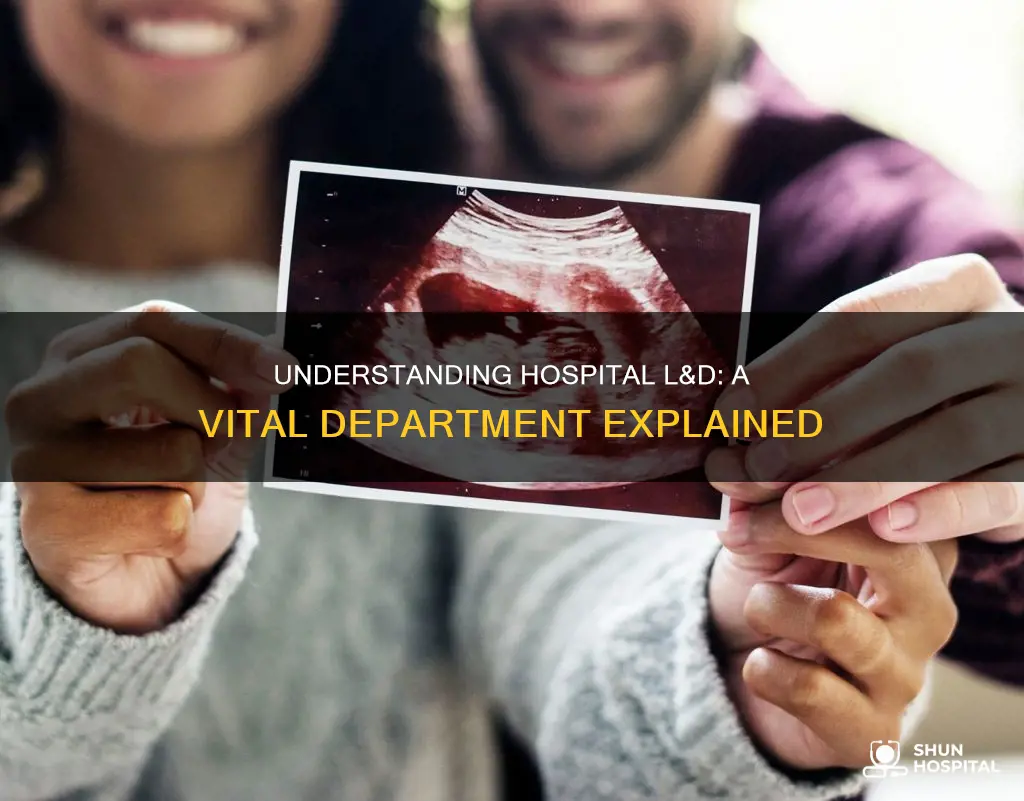 what is l&d in a hospital