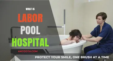 Understanding Labor Pool Hospitals: A Comprehensive Guide