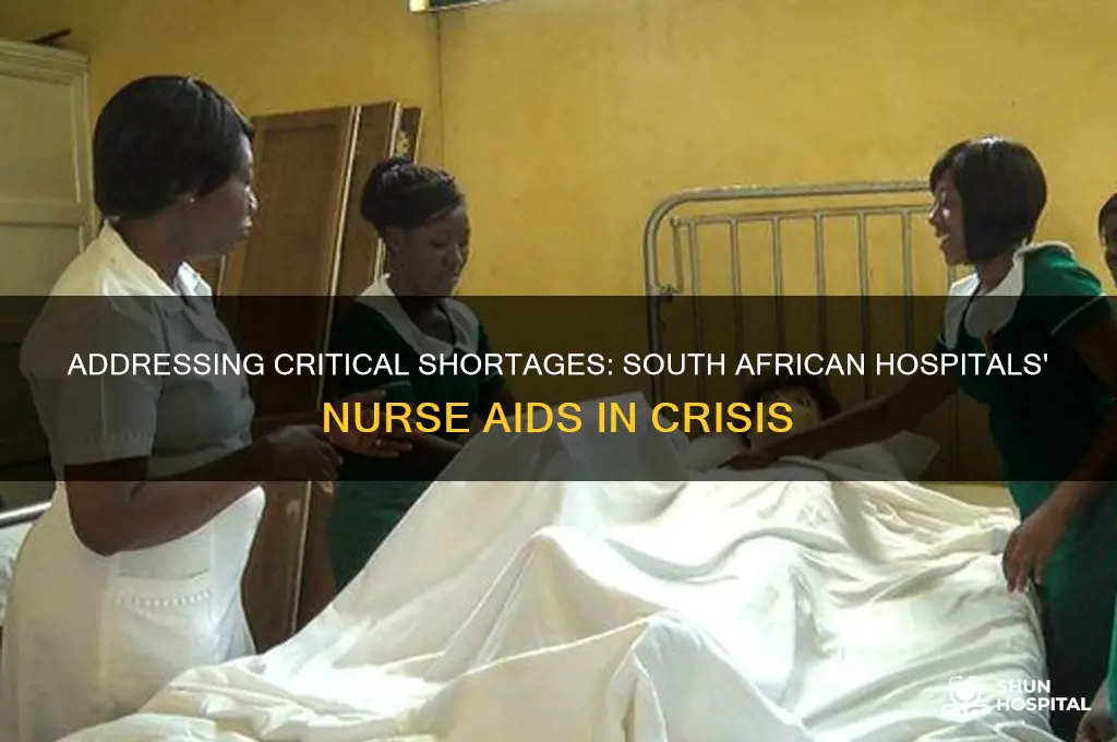 what is lacking in south african hospitals nurses aids
