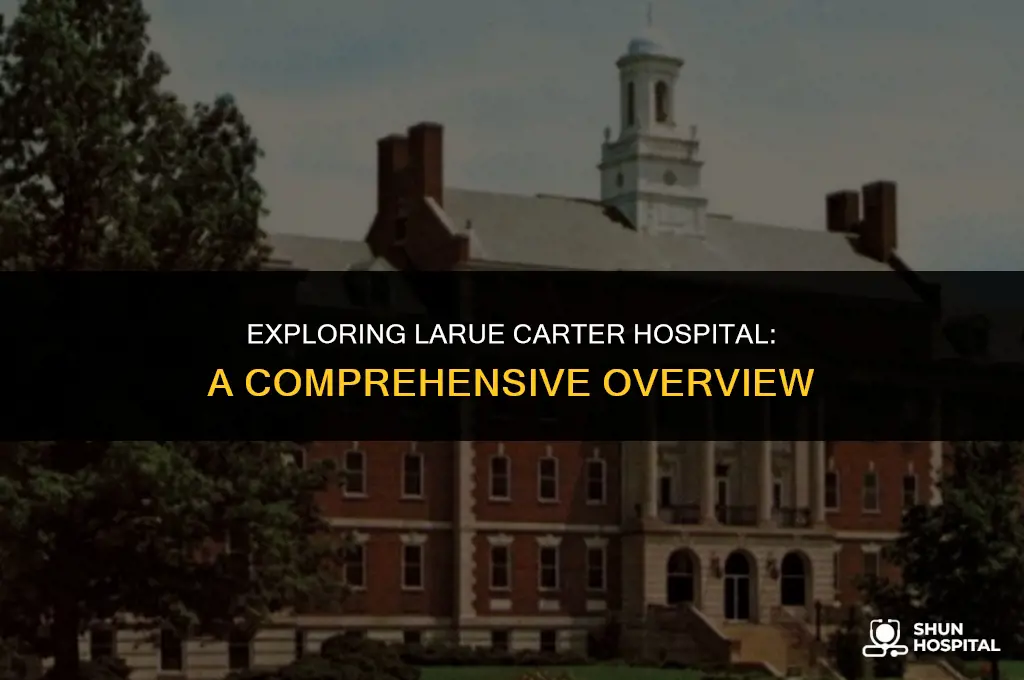 what is larue carter hospital