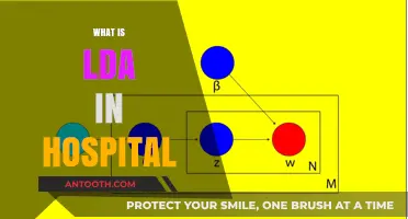 Understanding Latent Dirichlet Allocation (LDA) in Healthcare Settings