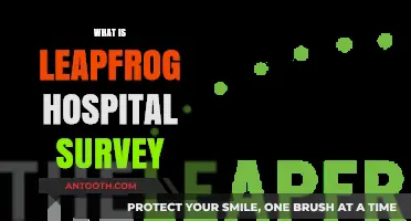 Exploring Excellence: A Deep Dive into the Leapfrog Hospital Survey