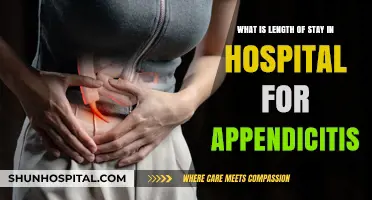 Understanding Appendicitis Hospital Stays: Average Length of Stay Explained