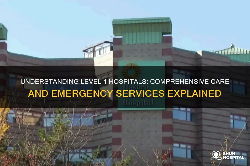 what is level 1 hospital
