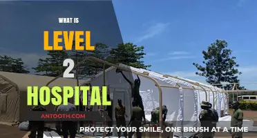 Understanding Level 2 Hospitals: What They Are and Their Importance