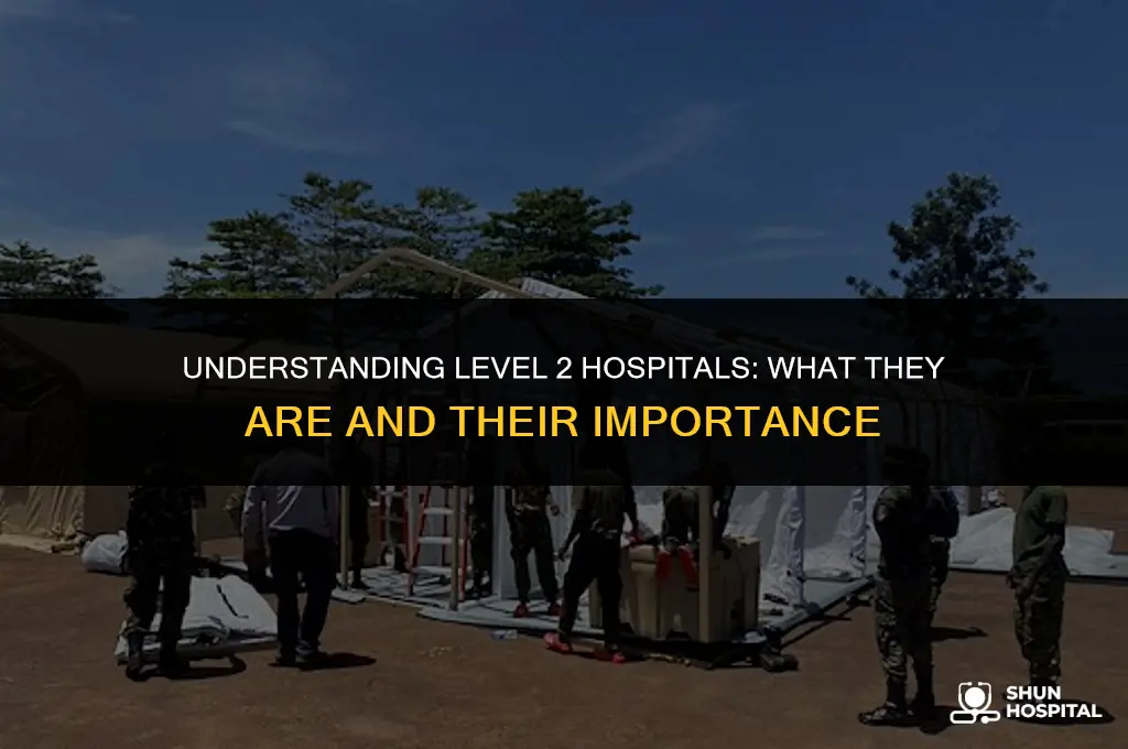 what is level 2 hospital