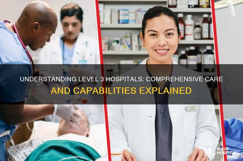 what is level 3 hospital