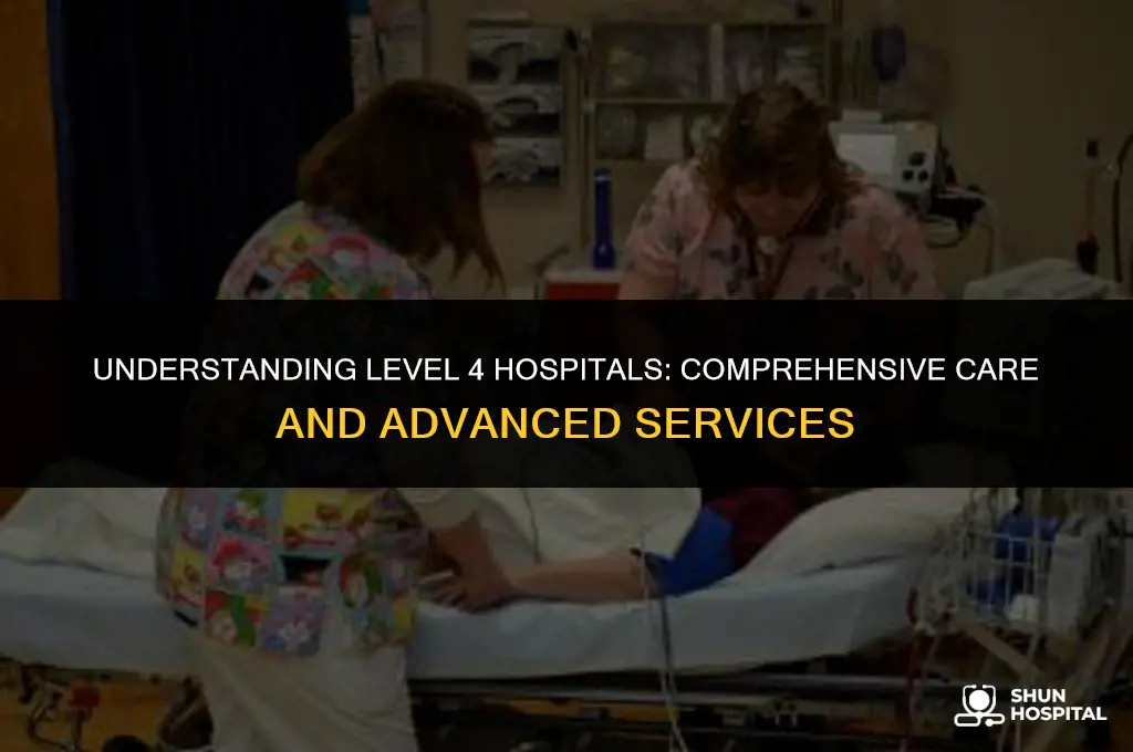 what is level 4 hospital