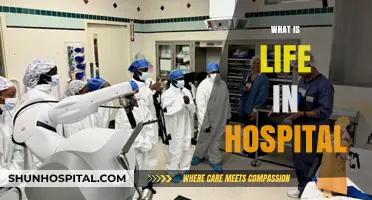 Behind the Scenes: A Glimpse into Hospital Life
