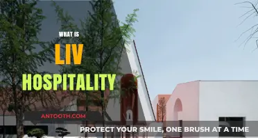 Exploring the Essence of Liv Hospitality: A Comprehensive Guide