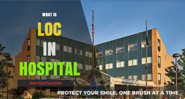 Understanding LOC in Hospitals: A Comprehensive Guide