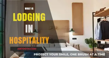 Exploring Lodging: A Comprehensive Guide to Hospitality Accommodations