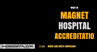 Understanding Magnet Hospital Accreditation: A Comprehensive Guide