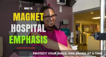 Exploring Magnet Hospitals: A Focus on Excellence in Nursing Care